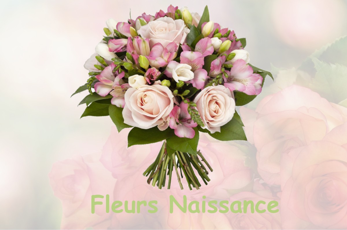 fleurs naissance TROIS-FONTAINES-L-ABBAYE