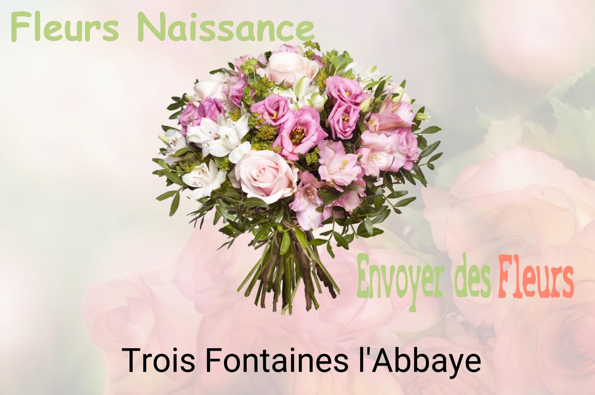 Bouquet de fleurs de naissance livré à Trois-Fontaines-l'Abbaye